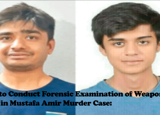 Mustafa Amir Murder Case