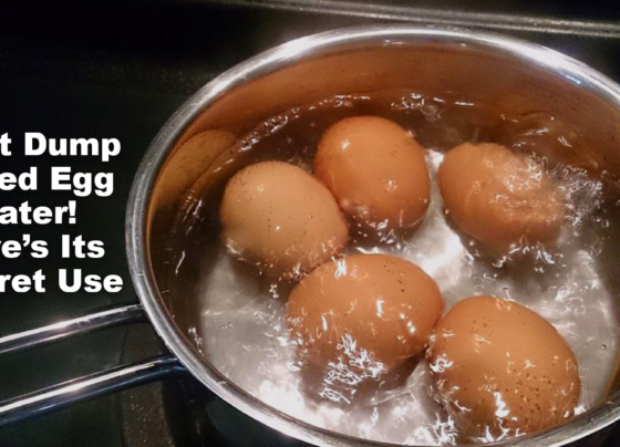 Don’t Dump Boiled Egg Water! Here’s Its Secret Use