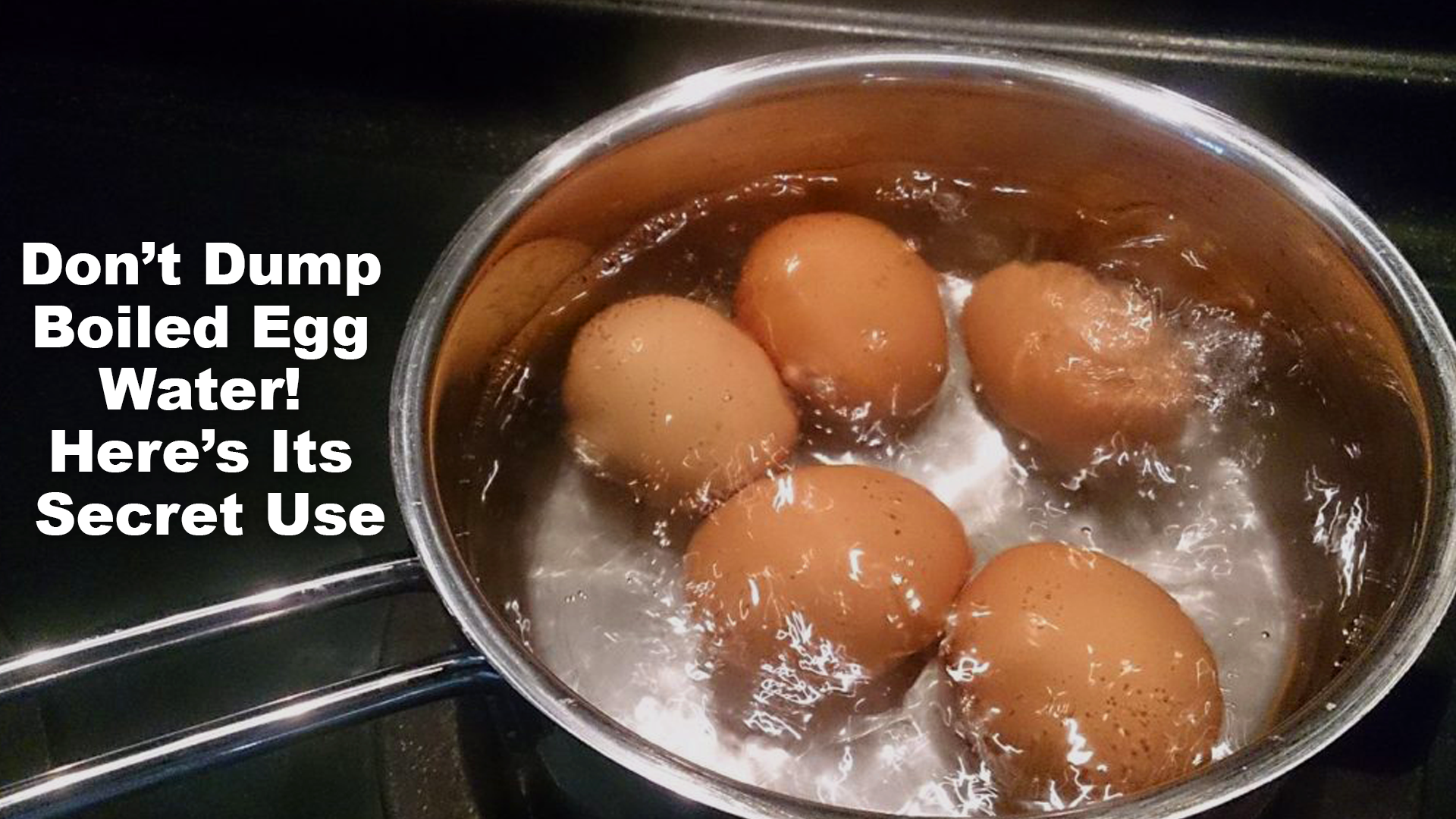 Don’t Dump Boiled Egg Water! Here’s Its Secret Use